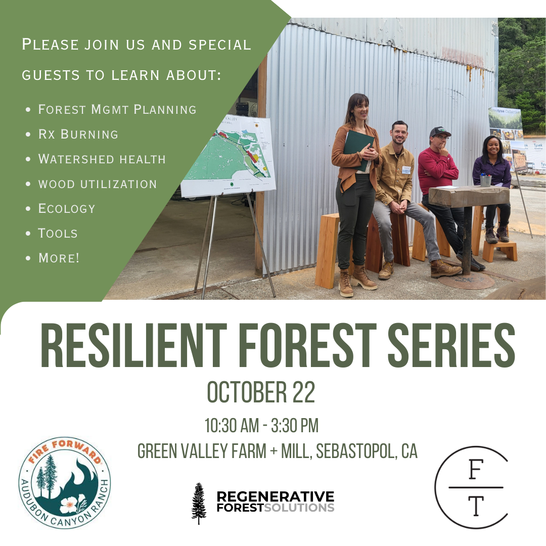 Resilient Forest Series - October