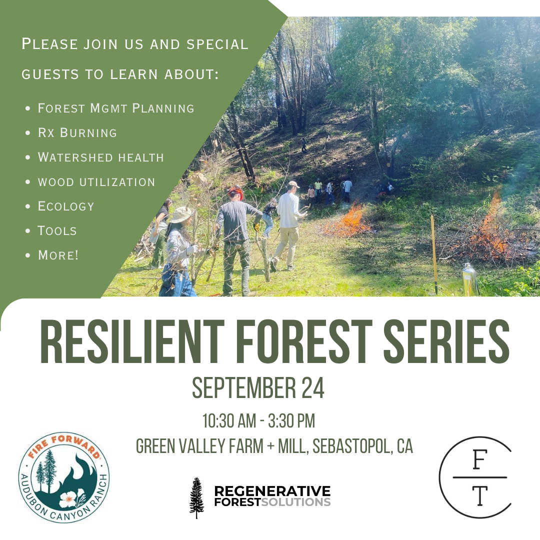 Resilient Forest Series - September