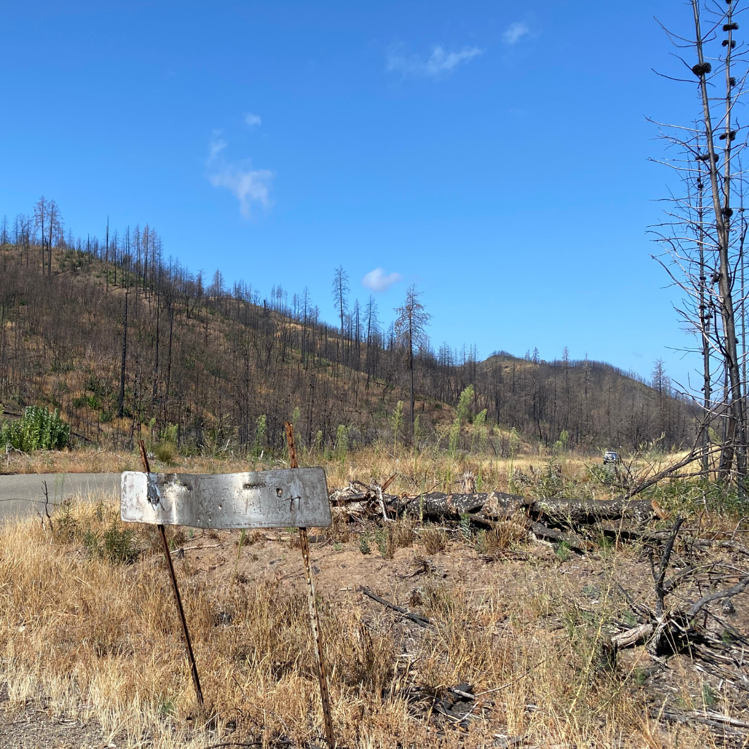 Severe intensity fire leaves behind burnt soil and sign at Modini Preserve