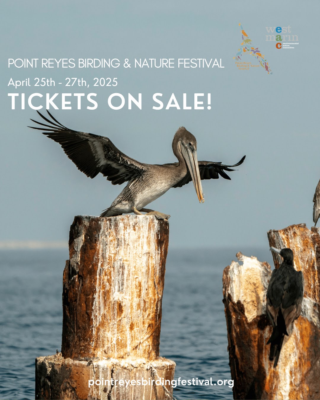 PRBNF - Tickets on Sale 1 - Pelicans