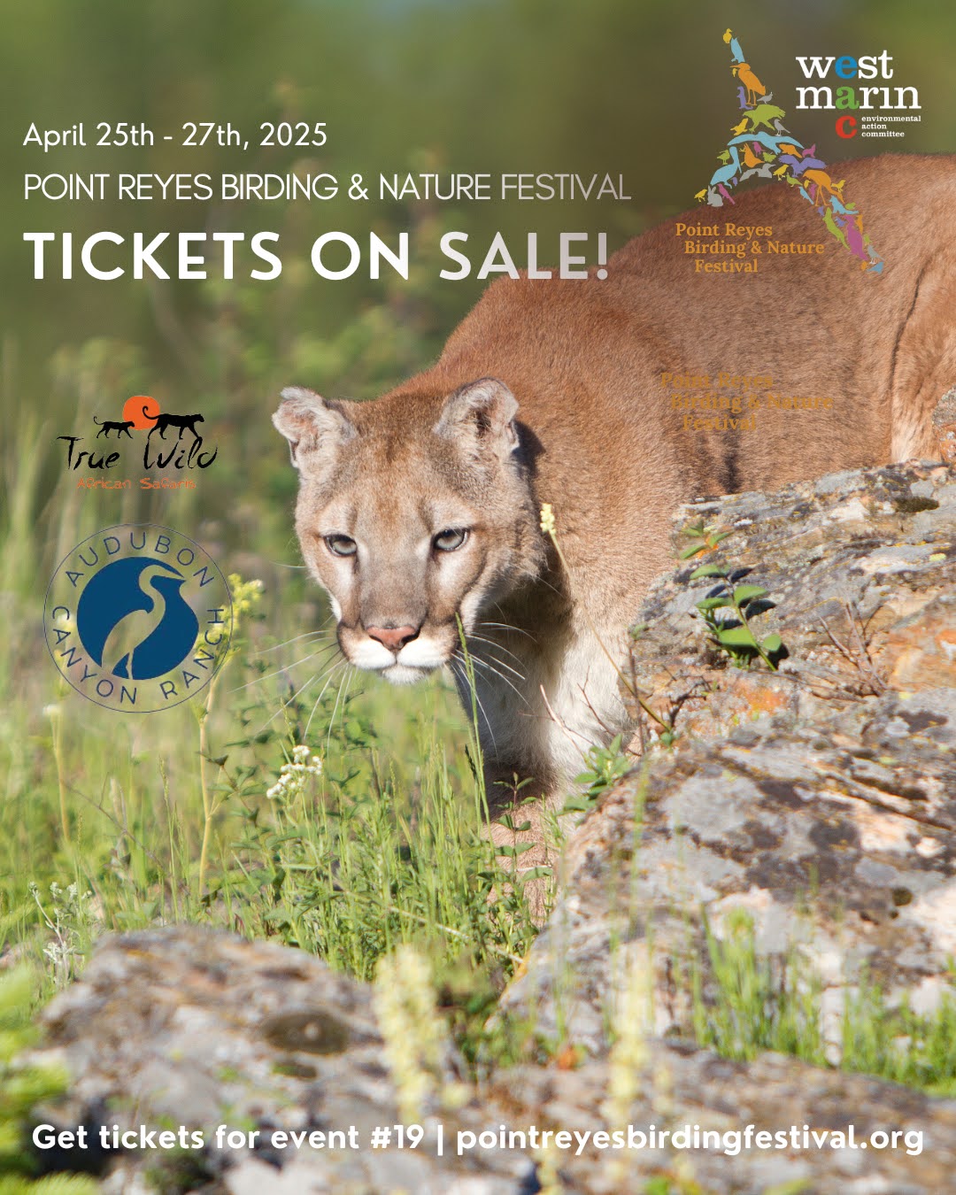 PRBNF - Tickets on Sale - lion